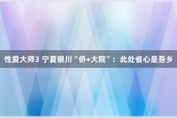 性爱大师3 宁夏银川“侨+大院”：此处省心是吾乡