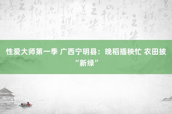 性爱大师第一季 广西宁明县：晚稻插秧忙 农田披“新绿”