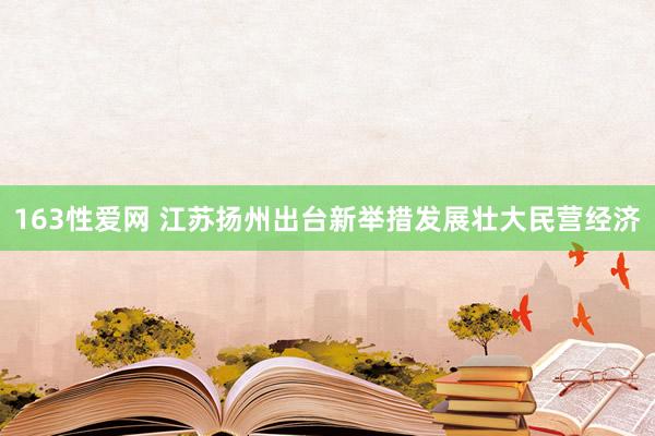 163性爱网 江苏扬州出台新举措发展壮大民营经济