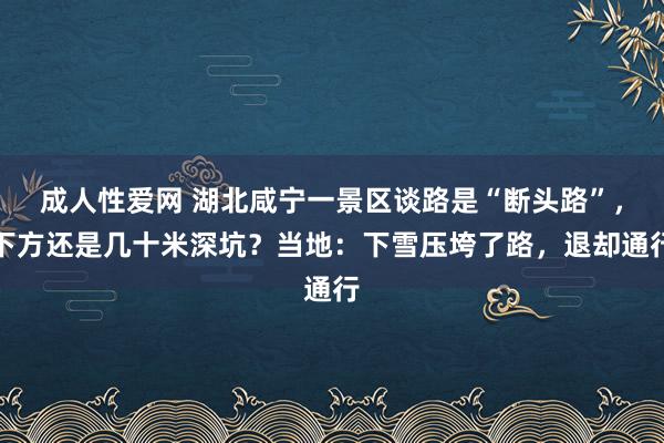 成人性爱网 湖北咸宁一景区谈路是“断头路”，下方还是几十米深坑？当地：下雪压垮了路，退却通行