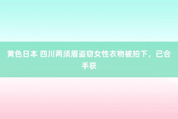 黄色日本 四川两须眉盗窃女性衣物被拍下，已合手获