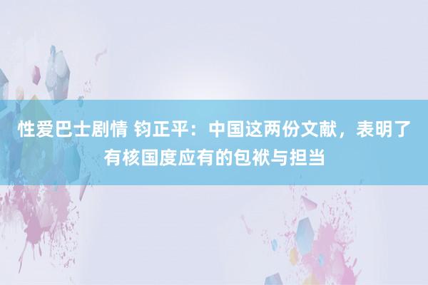 性爱巴士剧情 钧正平：中国这两份文献，表明了有核国度应有的包袱与担当