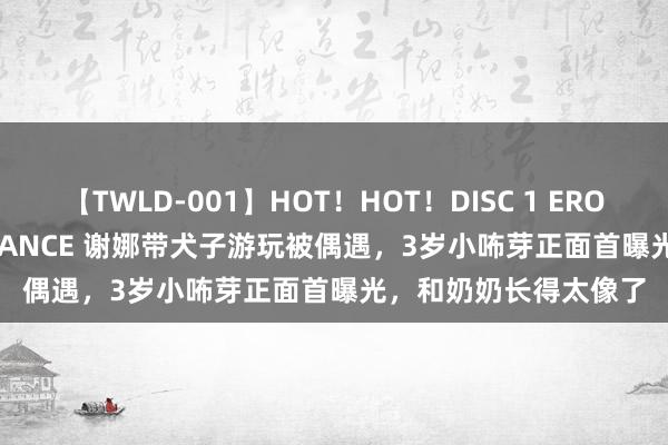 【TWLD-001】HOT！HOT！DISC 1 ERO-BODY BURNING DANCE 谢娜带犬子游玩被偶遇，3岁小咘芽正面首曝光，和奶奶长得太像了