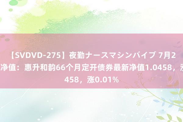 【SVDVD-275】夜勤ナースマシンバイブ 7月24日基金净值：惠升和韵66个月定开债券最新净值1.0458，涨0.01%