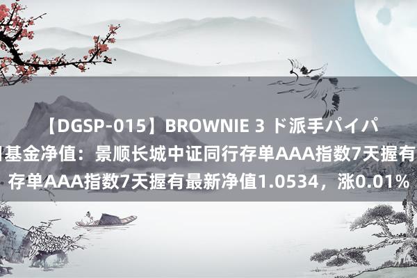 【DGSP-015】BROWNIE 3 ド派手パイパン強め黒ギャル 7月24日基金净值：景顺长城中证同行存单AAA指数7天握有最新净值1.0534，涨0.01%