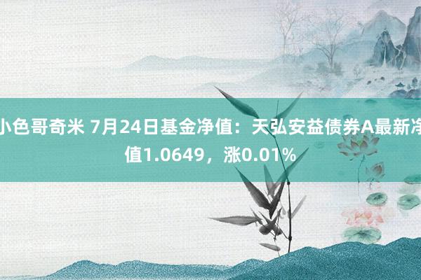 小色哥奇米 7月24日基金净值：天弘安益债券A最新净值1.0649，涨0.01%