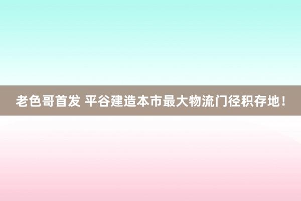 老色哥首发 平谷建造本市最大物流门径积存地！