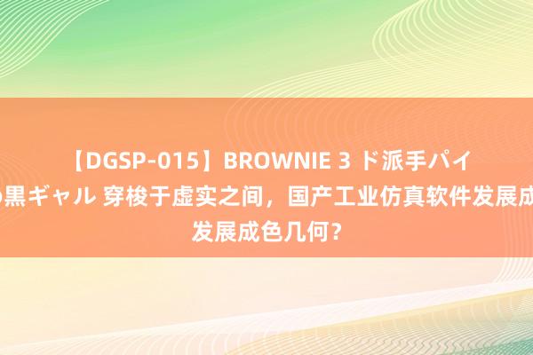 【DGSP-015】BROWNIE 3 ド派手パイパン強め黒ギャル 穿梭于虚实之间，国产工业仿真软件发展成色几何？