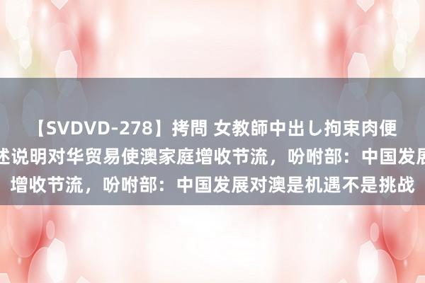 【SVDVD-278】拷問 女教師中出し拘束肉便器 仁科百華 RISA 论述说明对华贸易使澳家庭增收节流，吩咐部：中国发展对澳是机遇不是挑战