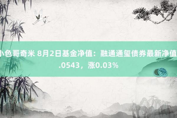 小色哥奇米 8月2日基金净值：融通通玺债券最新净值1.0543，涨0.03%