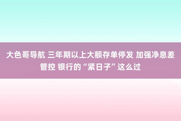 大色哥导航 三年期以上大额存单停发 加强净息差管控 银行的“紧日子”这么过