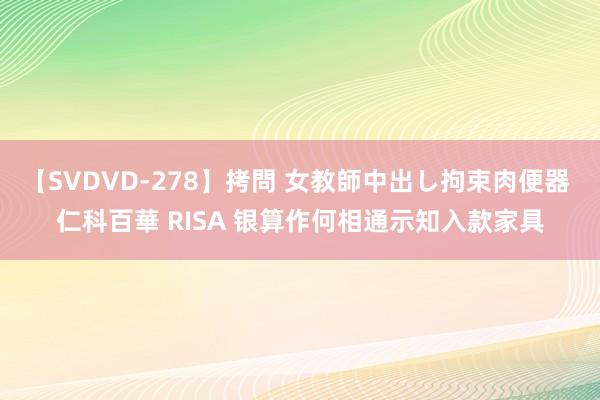 【SVDVD-278】拷問 女教師中出し拘束肉便器 仁科百華 RISA 银算作何相通示知入款家具