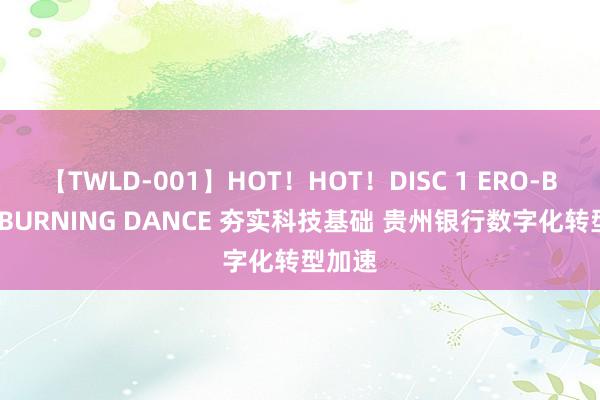 【TWLD-001】HOT！HOT！DISC 1 ERO-BODY BURNING DANCE 夯实科技基础 贵州银行数字化转型加速