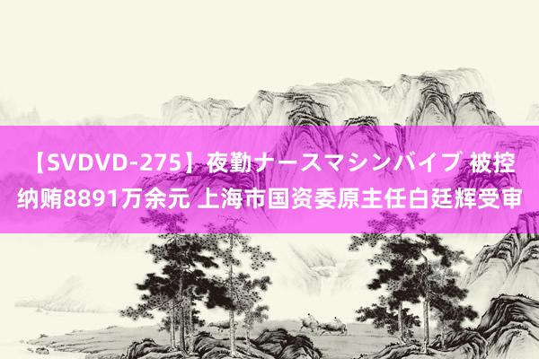 【SVDVD-275】夜勤ナースマシンバイブ 被控纳贿8891万余元 上海市国资委原主任白廷辉受审