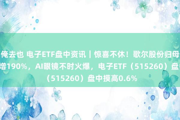 俺去也 电子ETF盘中资讯｜惊喜不休！歌尔股份归母净利同比暴增190%，AI眼镜不时火爆，电子ETF（515260）盘中摸高0.6%