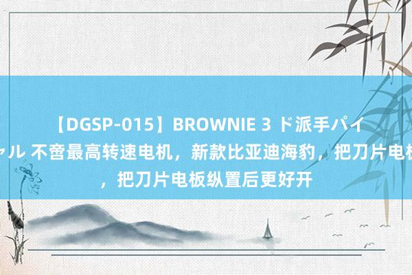 【DGSP-015】BROWNIE 3 ド派手パイパン強め黒ギャル 不啻最高转速电机，新款比亚迪海豹，把刀片电板纵置后更好开