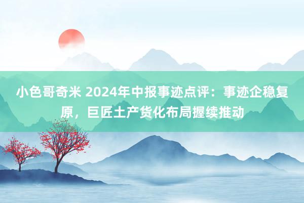 小色哥奇米 2024年中报事迹点评：事迹企稳复原，巨匠土产货化布局握续推动