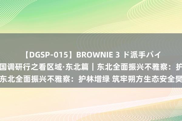 【DGSP-015】BROWNIE 3 ド派手パイパン強め黒ギャル 新期间中国调研行之看区域·东北篇｜东北全面振兴不雅察：护林增绿 筑牢朔方生态安全樊篱