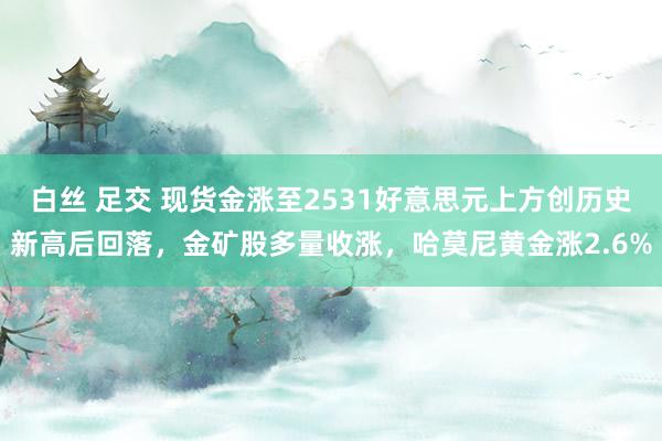 白丝 足交 现货金涨至2531好意思元上方创历史新高后回落，金矿股多量收涨，哈莫尼黄金涨2.6%