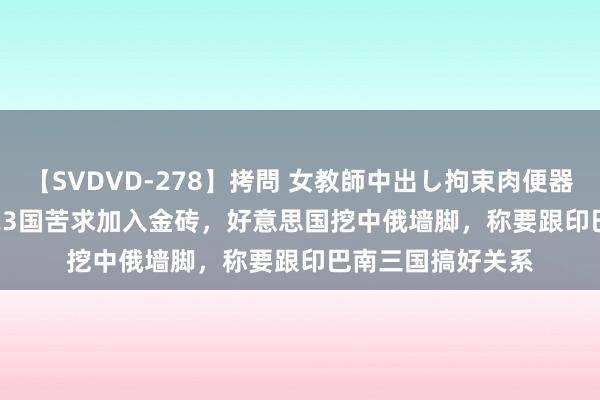 【SVDVD-278】拷問 女教師中出し拘束肉便器 仁科百華 RISA 23国苦求加入金砖，好意思国挖中俄墙脚，称要跟印巴南三国搞好关系