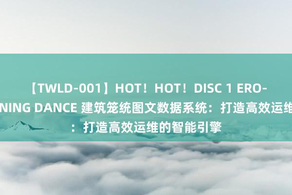 【TWLD-001】HOT！HOT！DISC 1 ERO-BODY BURNING DANCE 建筑笼统图文数据系统：打造高效运维的智能引擎