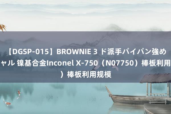 【DGSP-015】BROWNIE 3 ド派手パイパン強め黒ギャル 镍基合金Inconel X-750（N07750）棒板利用规模