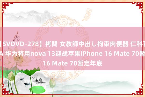 【SVDVD-278】拷問 女教師中出し拘束肉便器 仁科百華 RISA 华为将用nova 13迎战苹果iPhone 16 Mate 70暂定年底