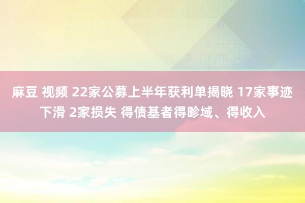 麻豆 视频 22家公募上半年获利单揭晓 17家事迹下滑 2家损失 得债基者得畛域、得收入