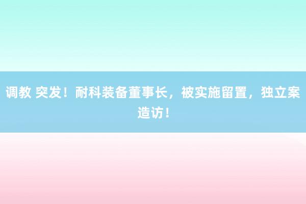 调教 突发！耐科装备董事长，被实施留置，独立案造访！