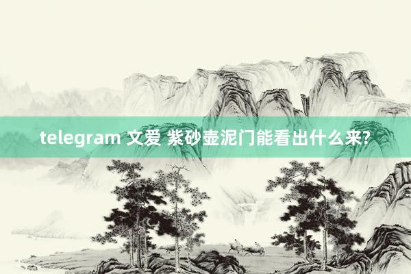 telegram 文爱 紫砂壶泥门能看出什么来?