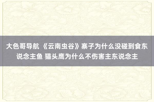 大色哥导航 《云南虫谷》寨子为什么没碰到食东说念主鱼 猫头鹰为什么不伤害主东说念主