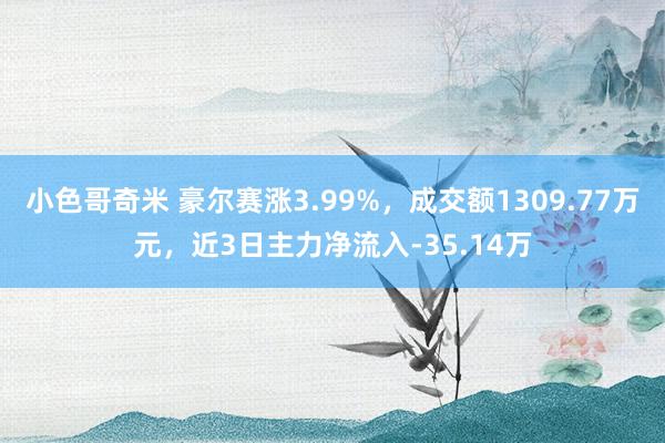 小色哥奇米 豪尔赛涨3.99%，成交额1309.77万元，近3日主力净流入-35.14万